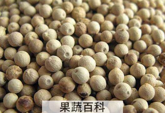 白胡椒的功效与作用及药用价值