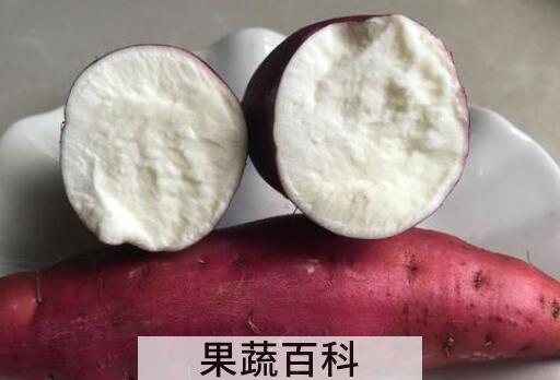 白心红薯的功效与作用 吃白心红薯的好处