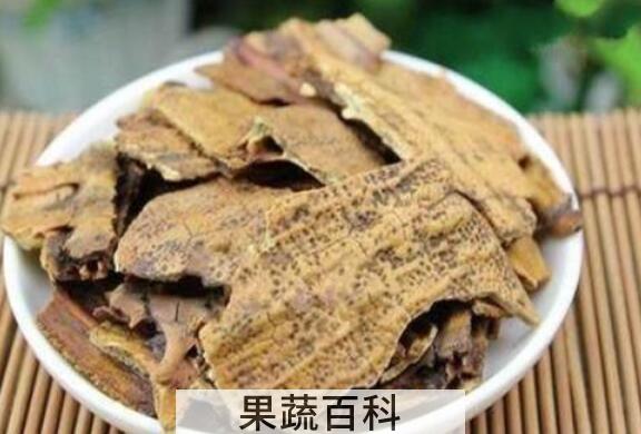 鳖甲怎么吃 鳖甲的食用方法