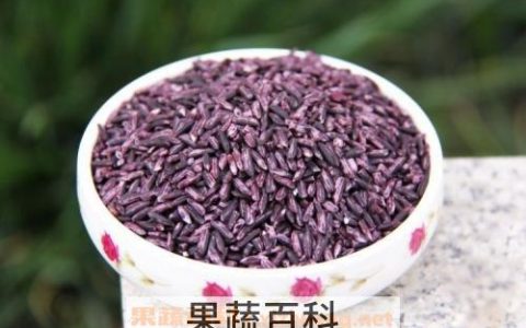 紫米的副作用有哪些 紫米什么人不可以吃