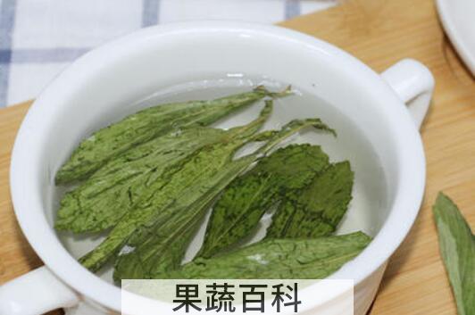 甜菊茶的功效与作用