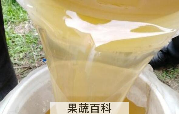 油菜花蜜的作用与功效