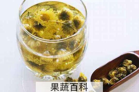 胎菊的功效与作用及禁忌