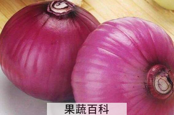 白洋葱和紫洋葱的区别