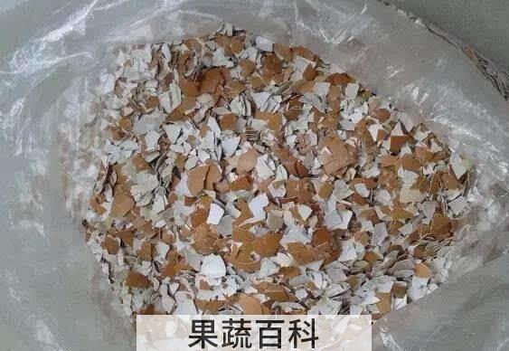 鸡蛋壳怎么做肥料 鸡蛋壳做肥料正确的做法