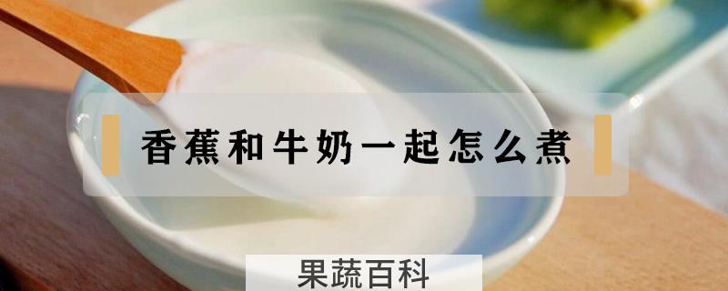香蕉和牛奶一起怎么煮
