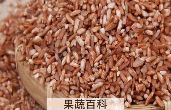 红糯米怎么吃 红糯米的食用方法