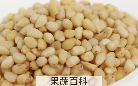 马尾松仁的功效与作用