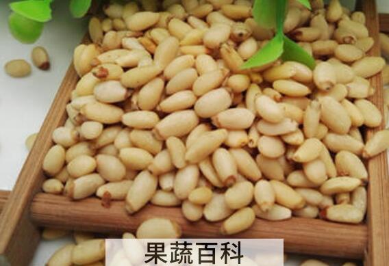 马尾松仁的功效与作用