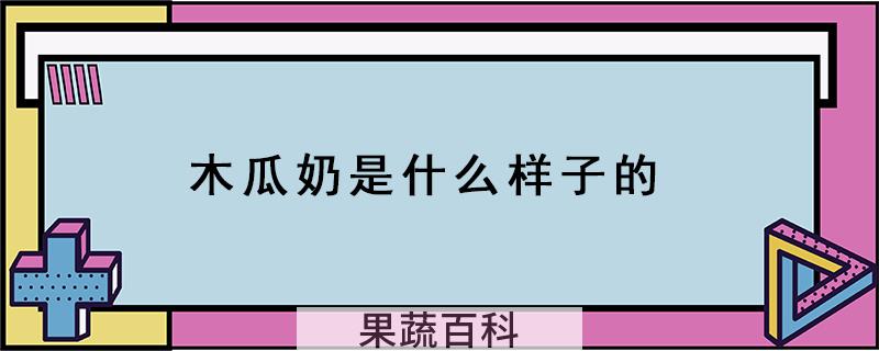 木瓜奶是什么样子的