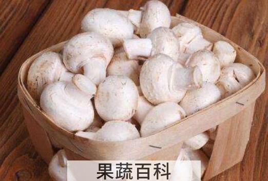 白蘑菇的做法 白蘑菇怎么做好吃