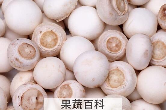 白蘑菇的做法 白蘑菇怎么做好吃