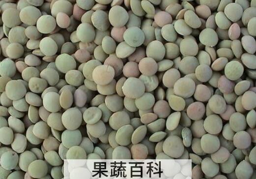 小扁豆的功效与作用 小扁豆怎么吃