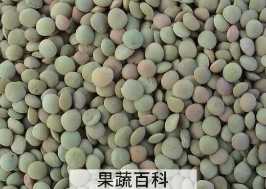 小扁豆的功效与作用 小扁豆怎么吃