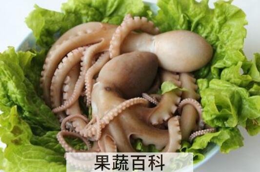 八爪鱼的营养价值 吃八爪鱼的好处