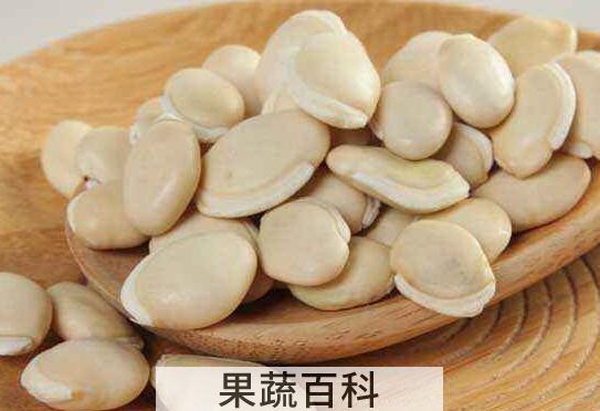 白扁豆的功效与作用与禁忌