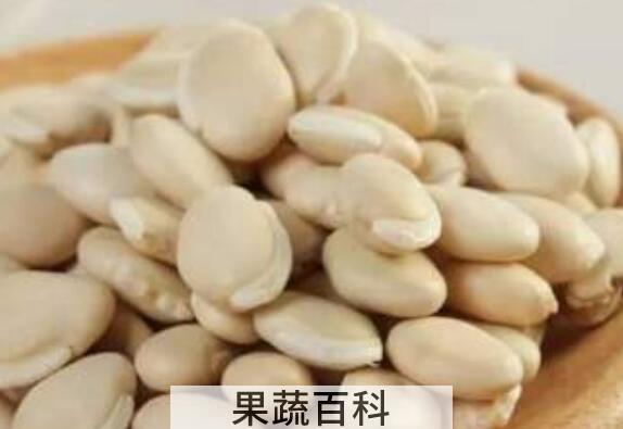 白扁豆的功效与作用与禁忌
