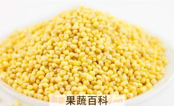 稷米的功效与作用 吃稷米的好处