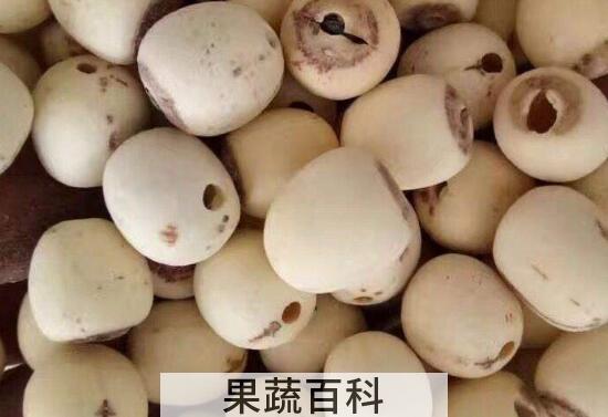中药莲子和普通莲子的区别 莲子的功效