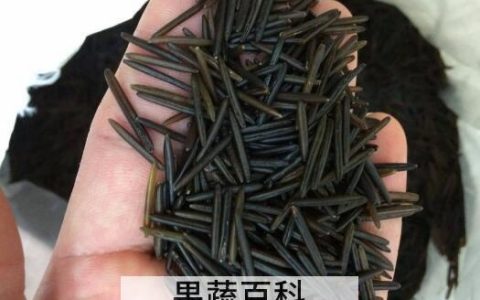 野米怎么吃 野米的最佳吃法