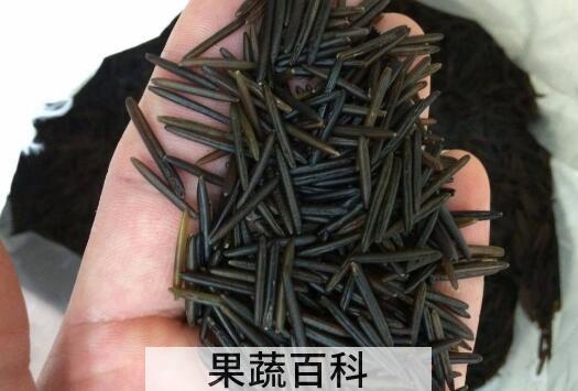 野米怎么吃 野米的最佳吃法