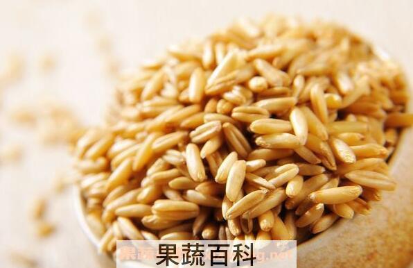 莜麦粒是什么 莜麦粒怎么吃