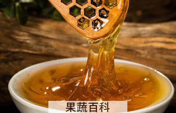 栗子花蜂蜜的功效与作用 吃栗子花蜂蜜的好处