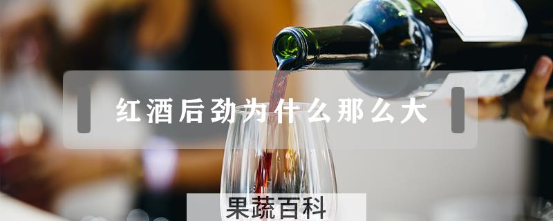 红酒后劲为什么那么大