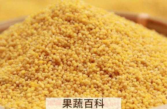 小黄米的功效与作用 小黄米的禁忌