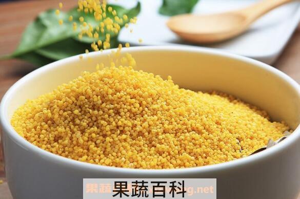小黄米怎么吃 每天吃小黄米的危害