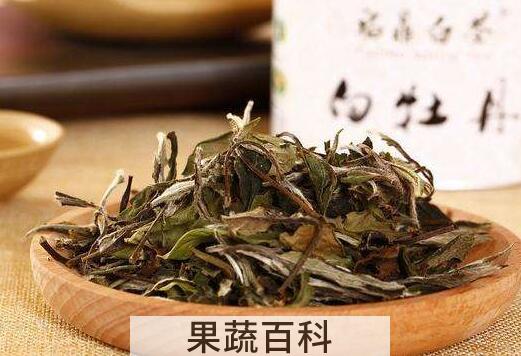 政和白茶怎么泡 政和白茶的正确冲泡方法
