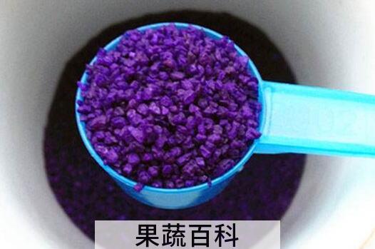 小紫药对人体的危害