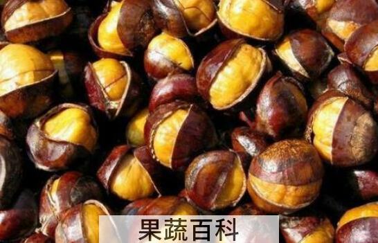 男人养肾最佳10食物 男人养肾吃什么好