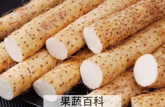 男人养肾最佳10食物 男人养肾吃什么好