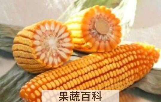 玉米轴的功效与作用