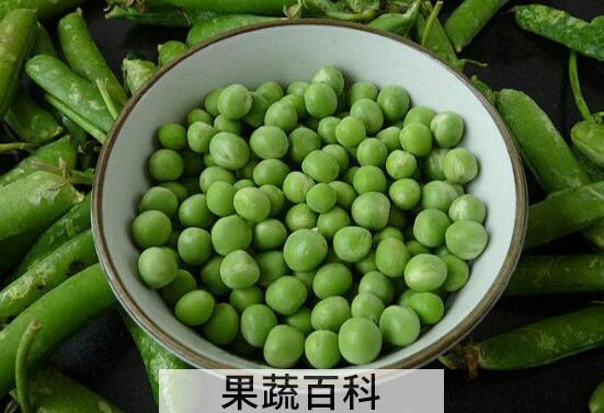 女人吃豌豆有什么好处