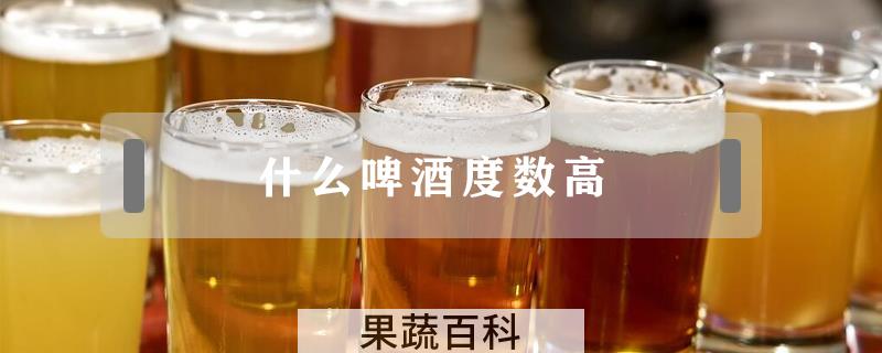 什么啤酒度数高