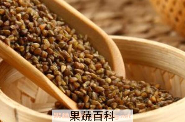 苦荞麦怎么吃 苦荞麦怎么泡水喝