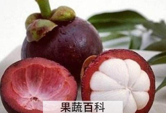 怎么判断山竹果肉坏了