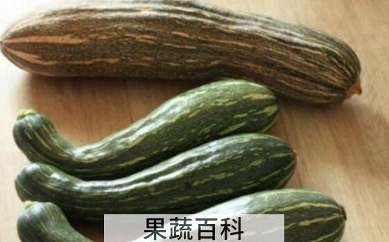 方瓜的功效与作用 吃方瓜的好处