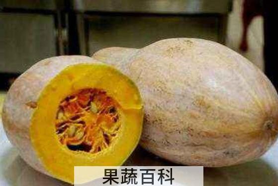 方瓜和南瓜的区别 方法的食用方法