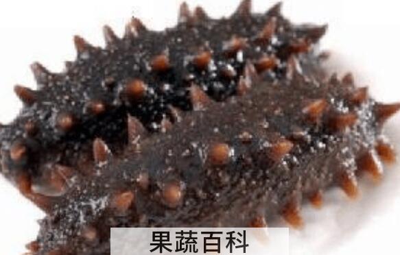 家庭如何泡发干海参 家庭发海参的正确方法