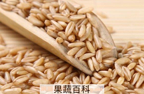 燕麦米