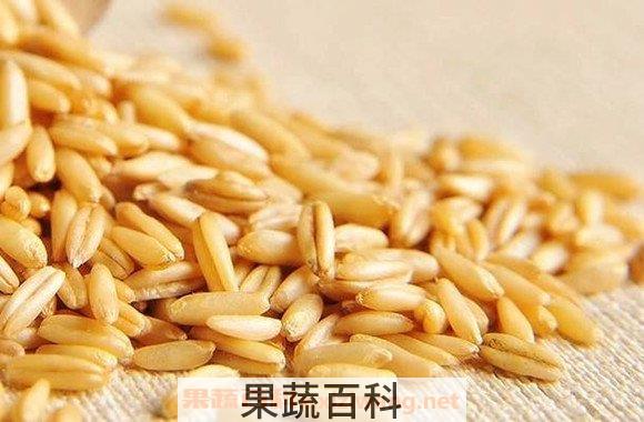 燕麦米