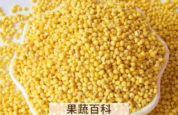大黄米发苦的真正原因 大黄米的禁忌