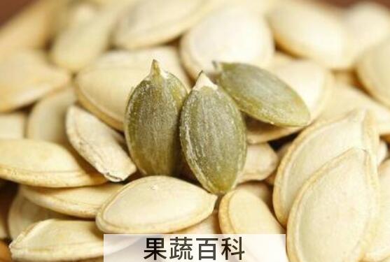 北瓜子的功效与作用及禁忌