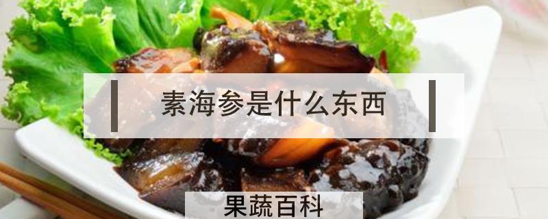素海参是什么东西