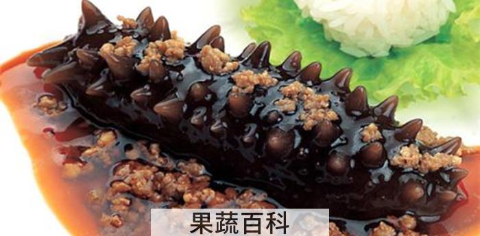 素海参是什么东西