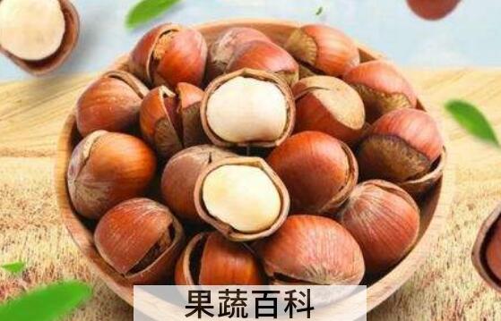 经常吃榛子的好处与坏处