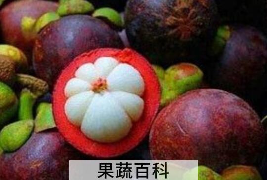 如何正确剥山竹 山竹太硬了怎么打开